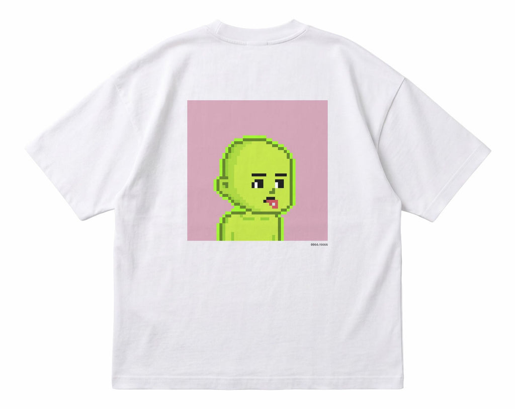 cool baby 0066 flat lay